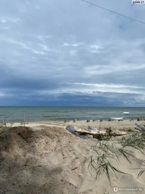 Зеленоградск (Кранц) в Калининградской области: самый красивый морской  город? Что в нём примечательного? | Дорошка | Дзен