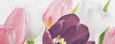 Плитка Ялта Атем тюльпаны | Смотреть 46 идеи на фото бесплатно
