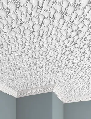 Плитка потолочная бесшовная полистирол белая Формат Гейша 50 x см 2 м²  FORMAT аналоги, замены