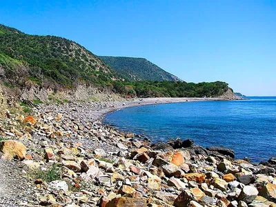 Побережье черного моря фото фото