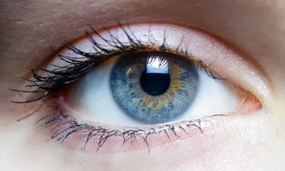 Убрать эффект красных глаз | Пикабу