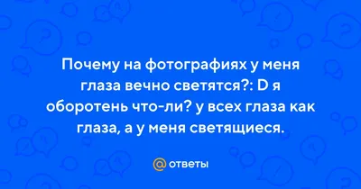 Почему у кошек глаза светятся в темноте — Ferra.ru