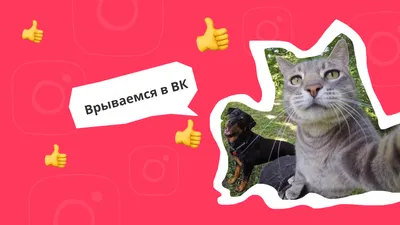 Реклама ВКонтакте — это самый бесполезный сервис на планете земля | SEO от  Анатолия Кузнецова