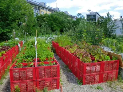 Украшаем дачу своими руками