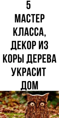 Делаем штаны из берёзовой коры | Пикабу