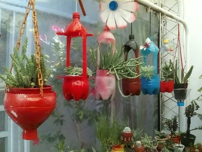 Цветы из пластиковых бутылок 🍀 для сада и огорода фото и описание своими  руками