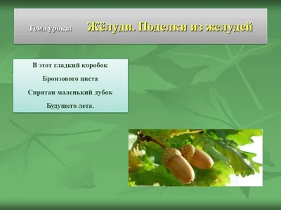 🏮Осень на новогодней елке: делаем елочные игрушки из желудей и орехов.  Елочные игрушки своими руками, мастер-класс