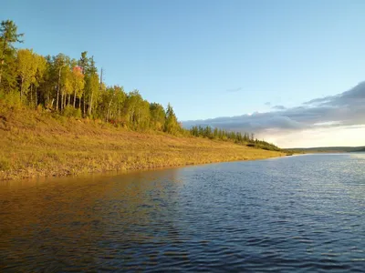 Подкаменная тунгуска фото фото