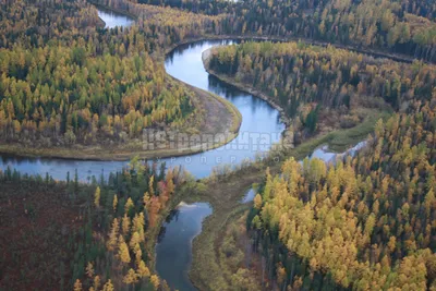 File:Podkamennaya Tunguska River from a helicopter.jpg - Wikimedia Commons