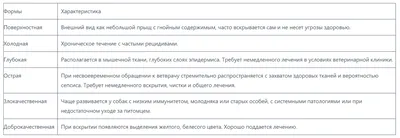 Парапроктит (воспаление клетчатки): симптомы, диагностика и лечение в  клинике Universum Clinic