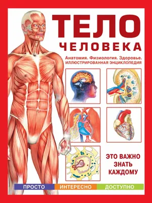 Максигра 50 мг таблетки №1 - инструкция, цена, состав. Купить в Аптека  Доброго Дня | аналоги, отзывы на Add.ua