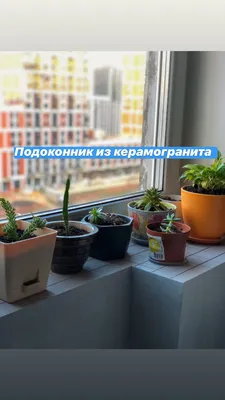 Как выбрать подоконник и с чем его сочетать – советы с фото | Houzz Россия