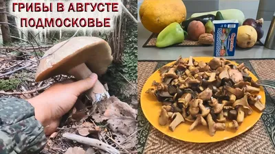 Серушка (Lactarius flexuosus). Фото на сайте \"Грибы: информация и  фотографии\"