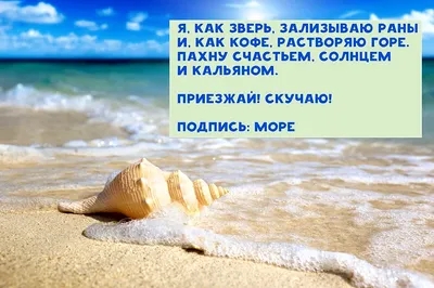 Неизвестный художник, «Море». подпись Айвазовский. | Живопись и графика —  Антикварный салон «Арбатъ»