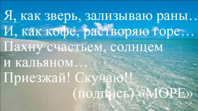 Travel banner дизайн поста в социальных сетях или шаблон оформления поста в  instagram premium векторы | Премиум векторы