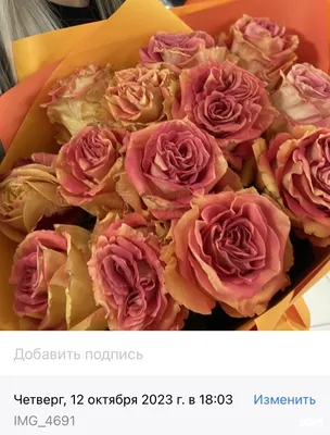 Картина «Розы в вазе» - Советская живопись купить в Москве | rus-gal.ru
