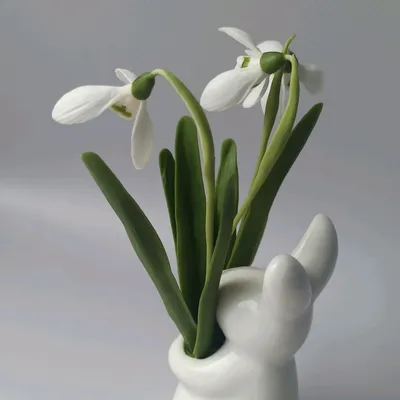 Подснежник Воронова (Galanthus woronowii) | Идеи для садового дизайна,  Красивые сады, Современный дизайн сада