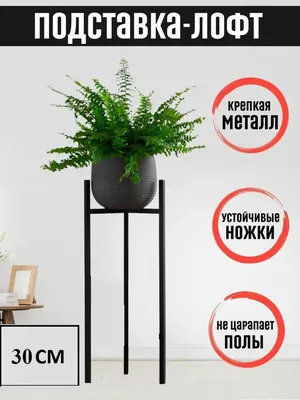 Каталог Садовая подставка для цветов 53-341-B от магазина SADZONE в Москве  по доступным ценам