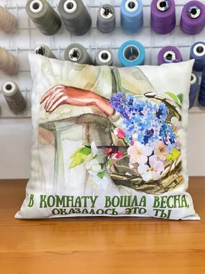 Подушка с принтом - Москва 4 - Smax.ru