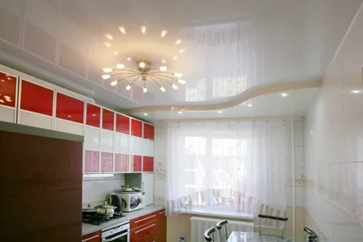 Навесные потолки для кухни (14 фото), дизайн подвесных кухонных потолков |  Houzz Россия