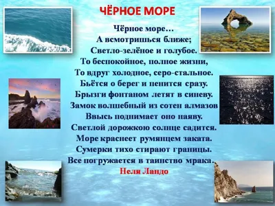 ЛЕКСИЧЕСКИЙ МАТЕРИАЛ \"Подводный мир Чёрного моря\" | Детский сад №37  «Гвоздичка»