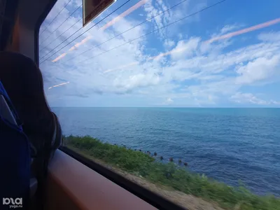 Поезд Amtrak Surfliner Тихий океан с голубой океан и небом Редакционное  Фото - изображение насчитывающей сан, перевозка: 167014326