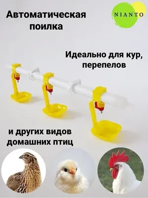 Nianto Комплект ниппельного поения 50 см поилка для птиц кур индюков с  каплеуловителем для курятника