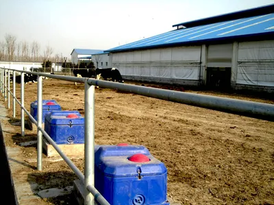 Системы поения и подогрева воды для КРС - Агромолтехника Сибирь