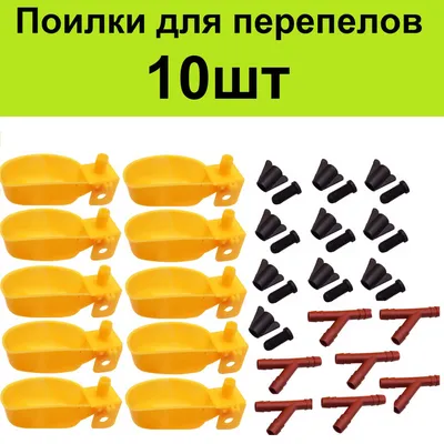Чашечные поилки для перепелов 10шт. - купить с доставкой по выгодным ценам  в интернет-магазине OZON (319418308)