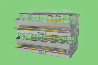 Клетка для перепелов на 60 голов по 30 в каждом ярусе (КП-60-2я) - купить  по цене от 7 800 руб./шт | интернет-магазин Profifermer.ru