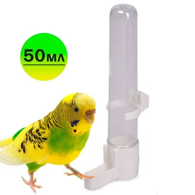 поилка для попугаев - купить с доставкой по выгодным ценам в  интернет-магазине OZON (1085844310)