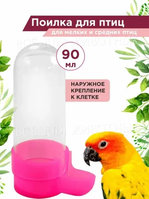 Поилка для попугаев - автокормушка для птиц 90мл TRIOL 151290599 купить за  42 100 сум в интернет-магазине Wildberries