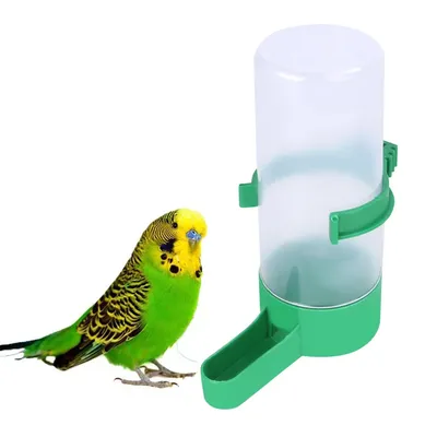 Поилка для домашних животных, автоматическая кормушка для птиц, попугаев,  клетка, чаша | AliExpress