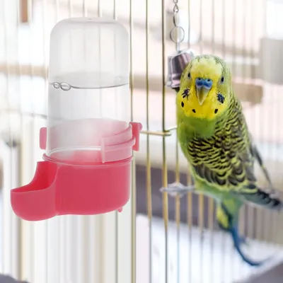 Поилка для птиц, автоматическая поилка для попугаев, 1 шт. | AliExpress