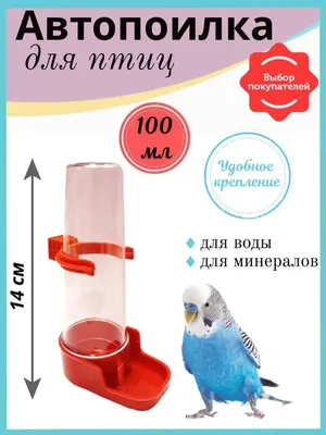Поилка для попугаев Trixie 200 мл/16 см (5445) купить | ELMIR - цена,  отзывы, характеристики