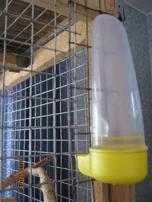 Поилка Trixie для попугаев 200мл ❤️ доставка на дом от магазина Zakaz.ua