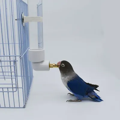 Savic Поилка для попугаев, пластик, узкая, 14см Все для птиц  Интернет-магазин