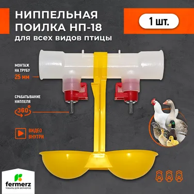 Поилка для птиц из пластиковой бутылки своими руками DIY - YouTube