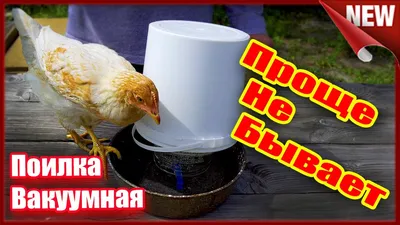 Купить поилка для птиц MP-Bergamo BEVERINO, 200мл, цены в Москве на  Мегамаркет | Артикул: 100025629345
