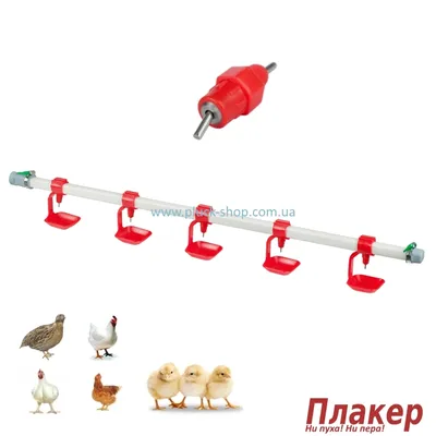 Комплект ниппельного поения с поилками 360º разборными для цыплят  бройлеров, перепелов, кур | Pluck-shop.com.ua Интернет-магазин товаров для  птицеводства