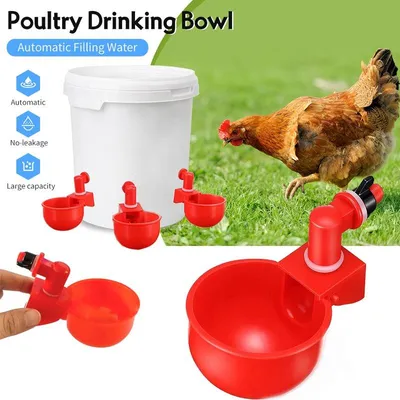 Купить Автоматическая чашка для воды для курицы, комплект поилки,  фермерский курятник, поилка для птицы, поилка для питьевой воды для цыплят,  утки, гуся | Joom