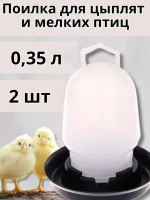 Поилка для цыплят и мелких птиц 0,35 л 2 шт Кормушки для кур 18887768  купить в интернет-магазине Wildberries
