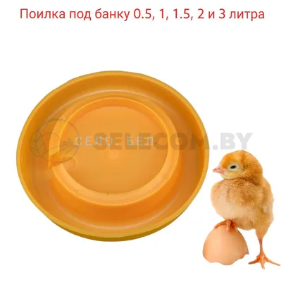 Поилка для цыплят Бриг №1 купить в Минске— selecom.by