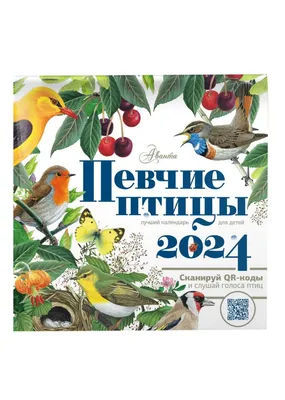 Пазл «Певчие птицы» из 238 элементов | Собрать онлайн пазл №100318
