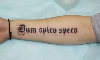 Андер Тату - \"Dum Spiro Spero\" Пока дышу, надеюсь. Работа... | Facebook