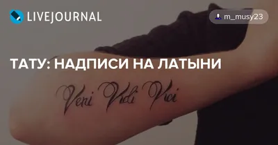 Tattoo New York / Тату Москва (@vladgrom777) • Instagram photos and videos