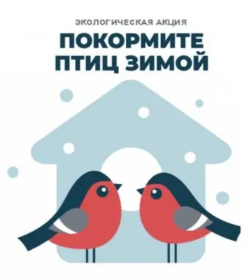 Поделка Покормите птиц зимой! №192687 - «ЭКОЛОГИЯ и МЫ» (03.01.2024 - 22:01)