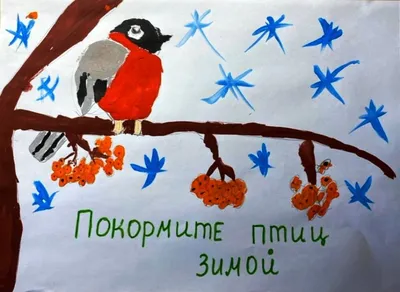 Работа — Покормите птиц зимой, автор Щепотин Матвей Адреевич