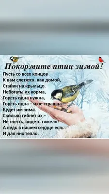 Буклет \"Покормите птиц зимой\" | Дефектология Проф