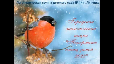 В Низовке прошла акция «Покормите птиц зимой!» — «Земля Самойловская»,  новости Самойловского района